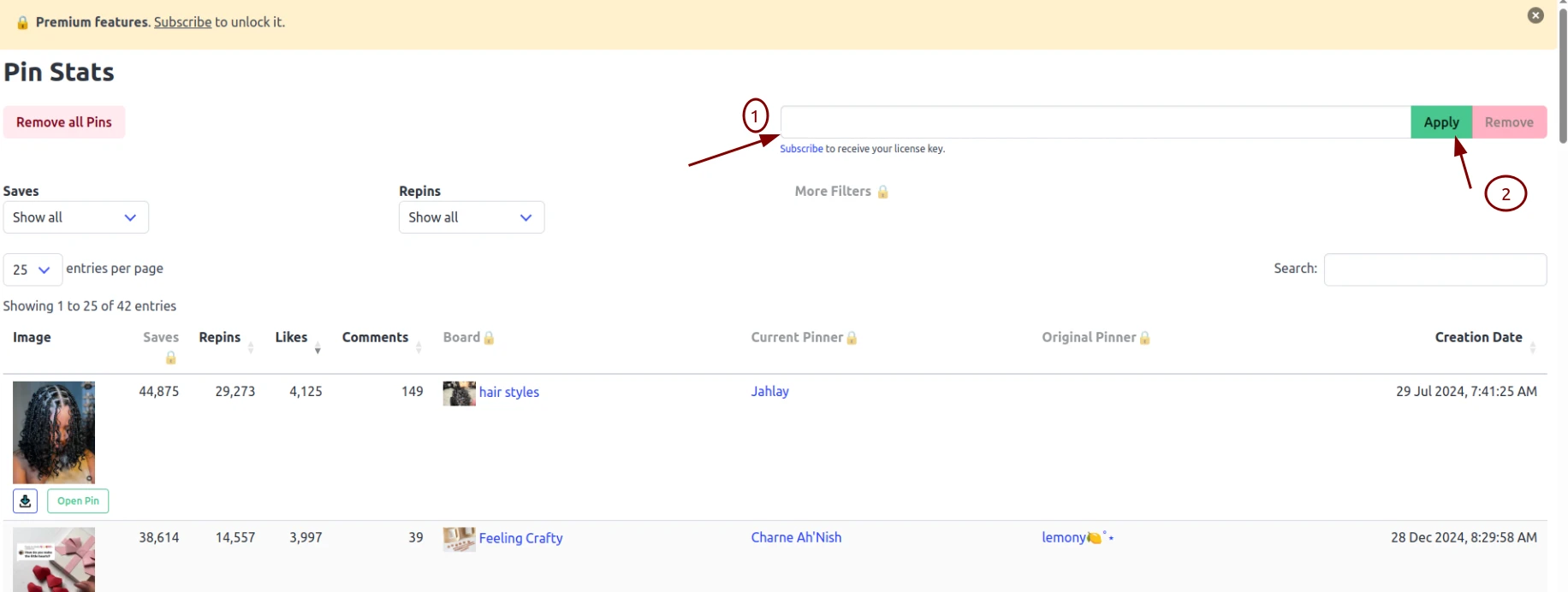 Pasting the license key into the activation field in the Pin Stats table